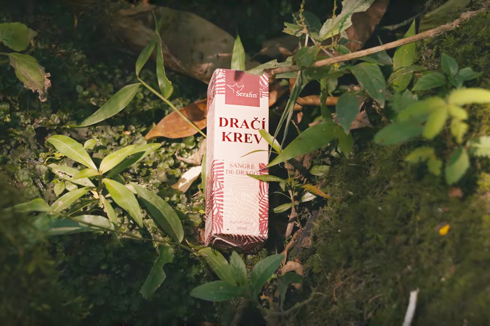 Dračí krev – pokaždé jiná, ale stále stejně účinná