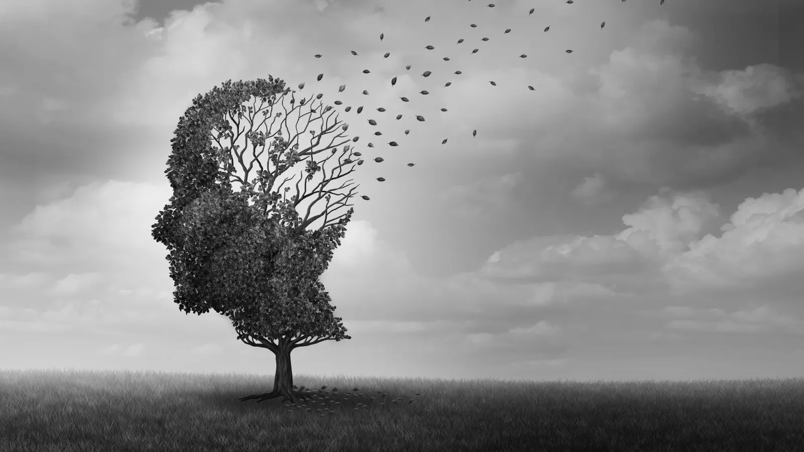 Alzheimerova choroba