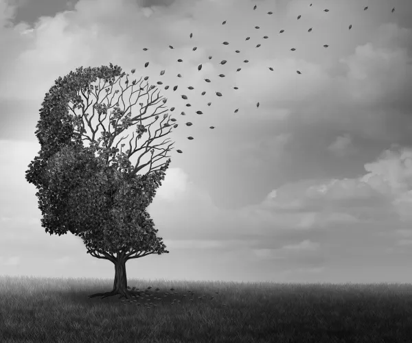 Alzheimerova choroba