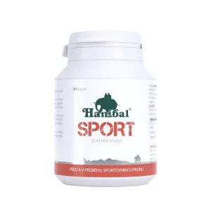 Sport – před sportovním výkonem