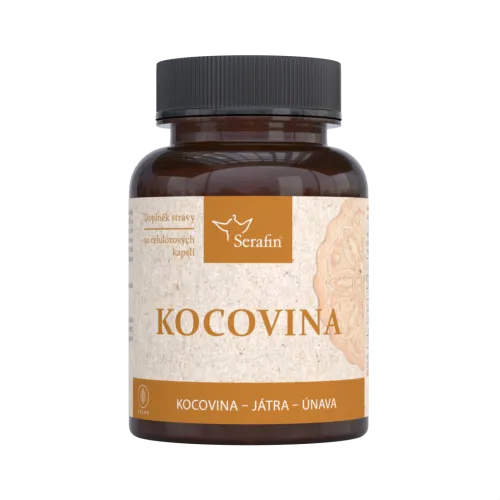 Kocovina