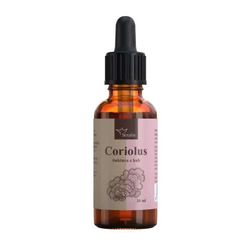 Coriolus – tinktura z hub