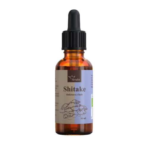 Shitake BIO – tinktura z hub