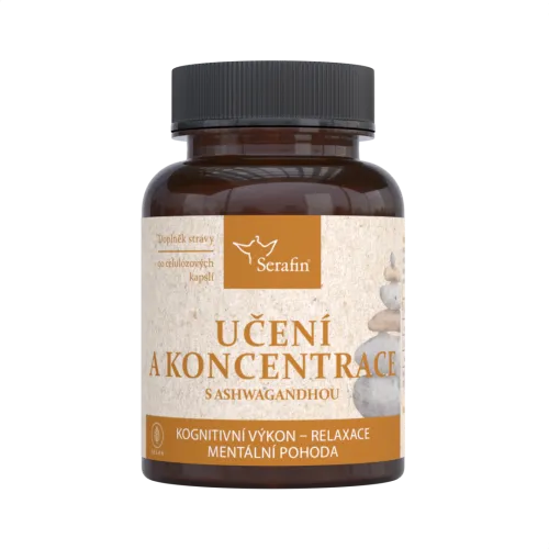 Učení a koncentrace