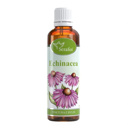 Echinacea – tinktura z bylin