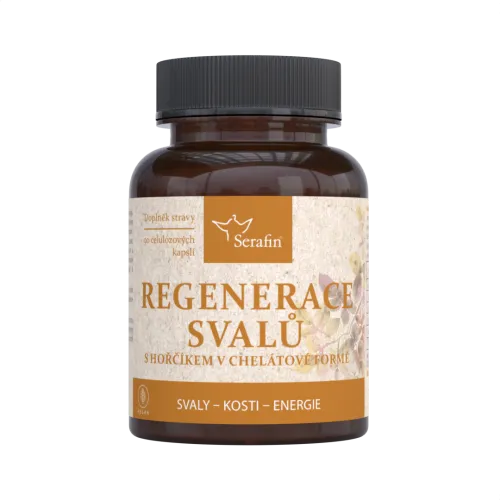 Regenerace svalů