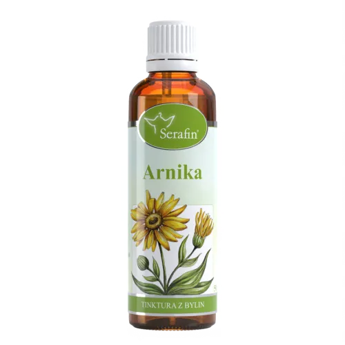Arnika – tinktura z bylin