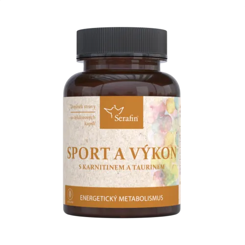 Sport a výkon