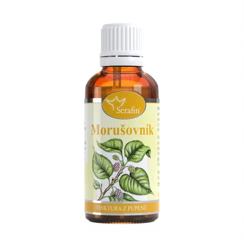 Morušovník – tinktura z pupenů