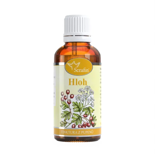 Hloh – tinktura z pupenů