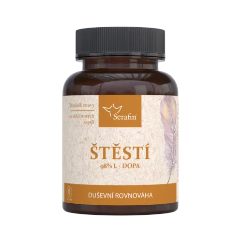 Štěstí