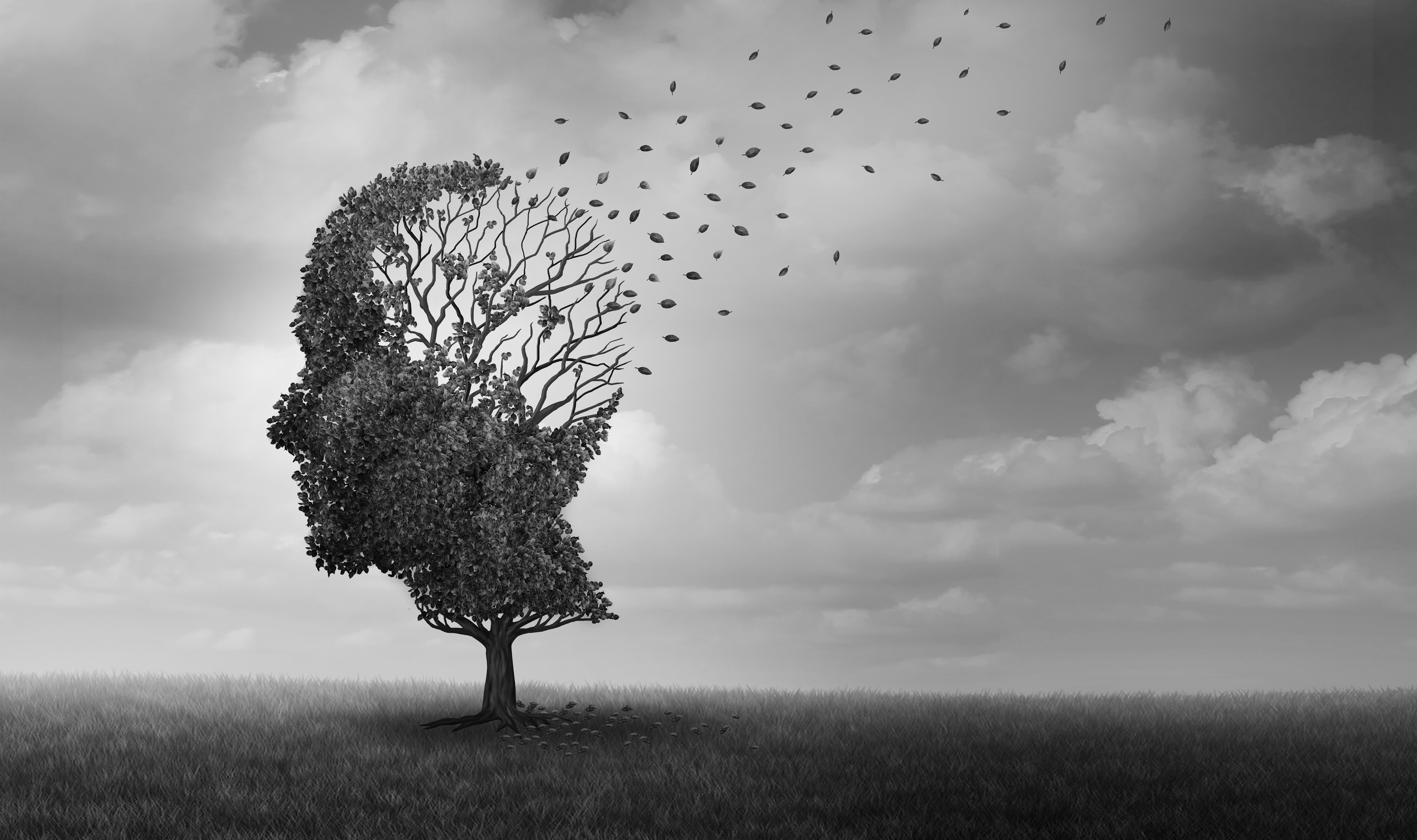 Alzheimerova choroba