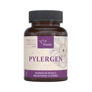 Pylergen