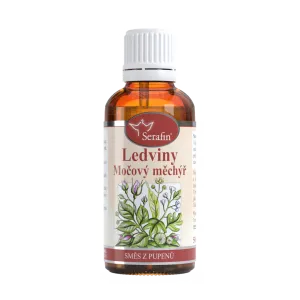 Ledviny a močový měchýř – směs z pupenů