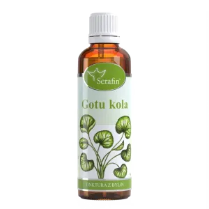 Gotukola – tinktura z bylin