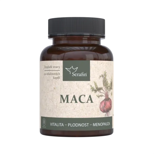 Maca