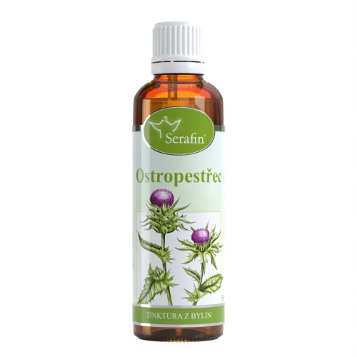 Ostropestřec – tinktura z bylin