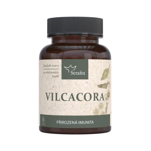 Vilcacora