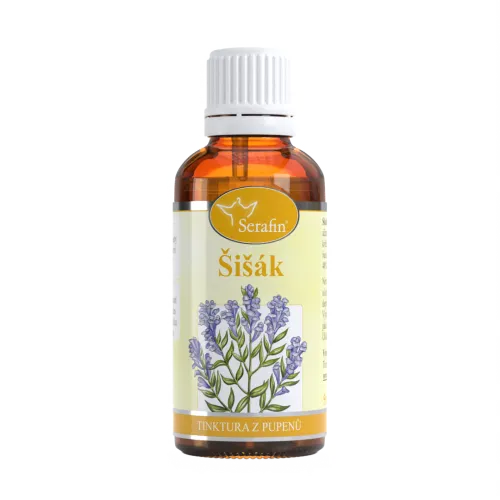 Šišák – tinktura z pupenů