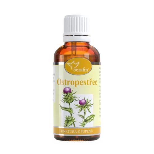 Ostropestřec – tinktura z pupenů