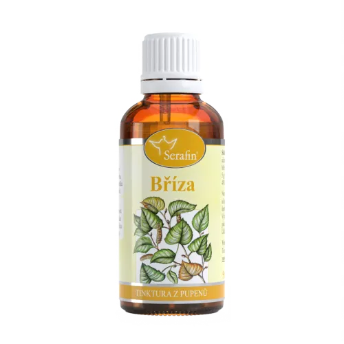 Bříza – tinktura z pupenů