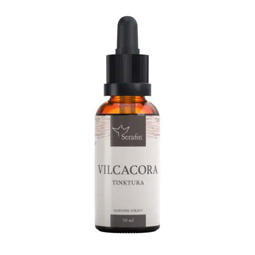 Vilcacora
