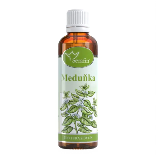 Meduňka – tinktura z bylin