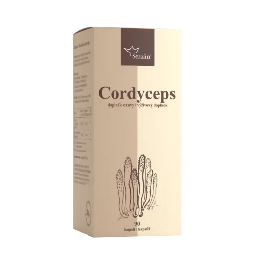 Cordyceps