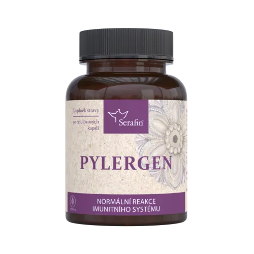 Pylergen
