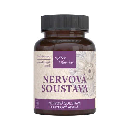 Nervová soustava