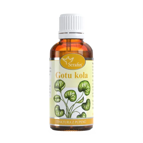 Gotukola – tinktura z pupenů