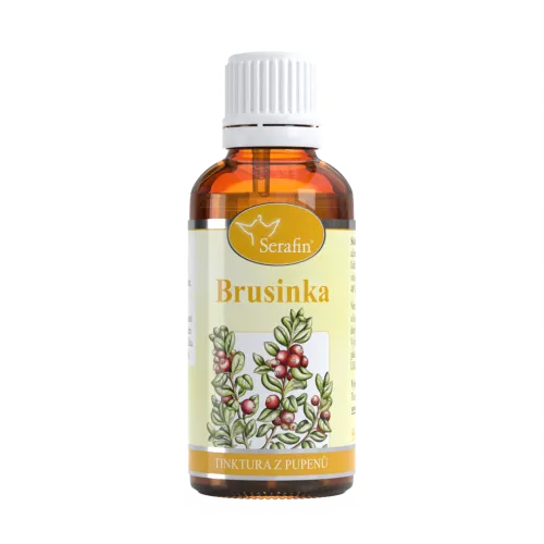 Brusinka – tinktura z pupenů