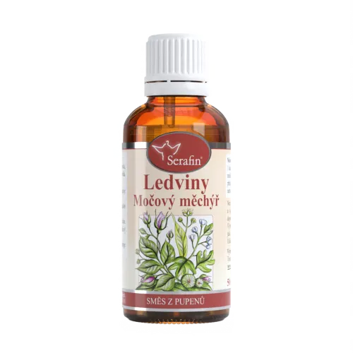 Ledviny a močový měchýř – směs z pupenů