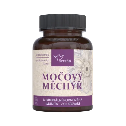 Močový měchýř