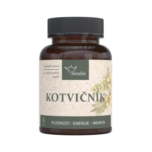 Kotvičník