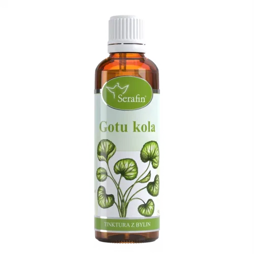 Gotukola – tinktura z bylin