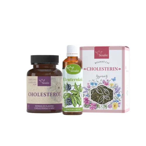Cholesterol