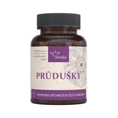 Průdušky