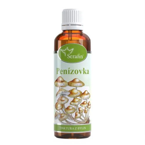 Penízovka – tinktura z bylin