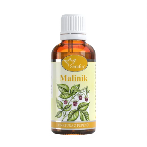 Maliník – tinktura z pupenů